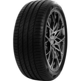 DELINTE - 205/45 ZR16 TL 87W  DELINTE DS2 XL - 2054516 - CBB