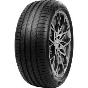 DELINTE - 245/65 HR17 TL 107H DELINTE DS2 SUV - 2456517 - BBB