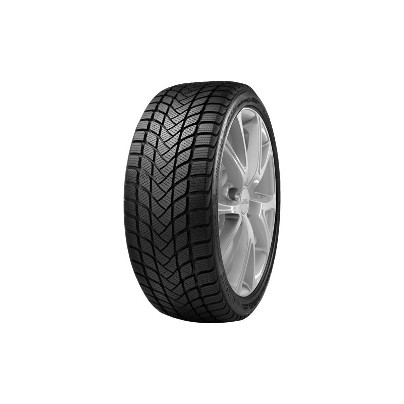 LANDSAIL - 205/50 HR17 TL 93H LANDSAIL WINTER LANDER XL - 2055017 - DBB LANDSAIL - 205/50 HR17 TL 93H LANDSAIL WINTER LANDER XL - 2055017 - DBB